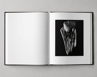 Image 5 of Jar of Teeth Hardback Book