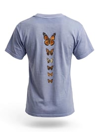 Image 6 of LA NATIVE Flight of the Butterfly - Migration