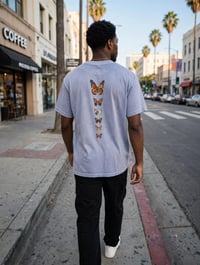 Image 2 of LA NATIVE Flight of the Butterfly - Migration