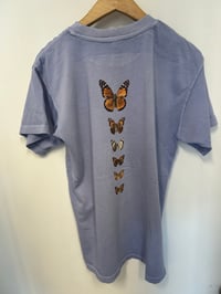 Image 7 of LA NATIVE Flight of the Butterfly - Migration