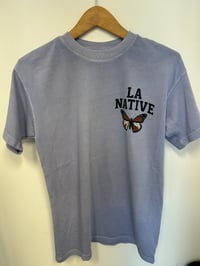 Image 8 of LA NATIVE Flight of the Butterfly - Migration