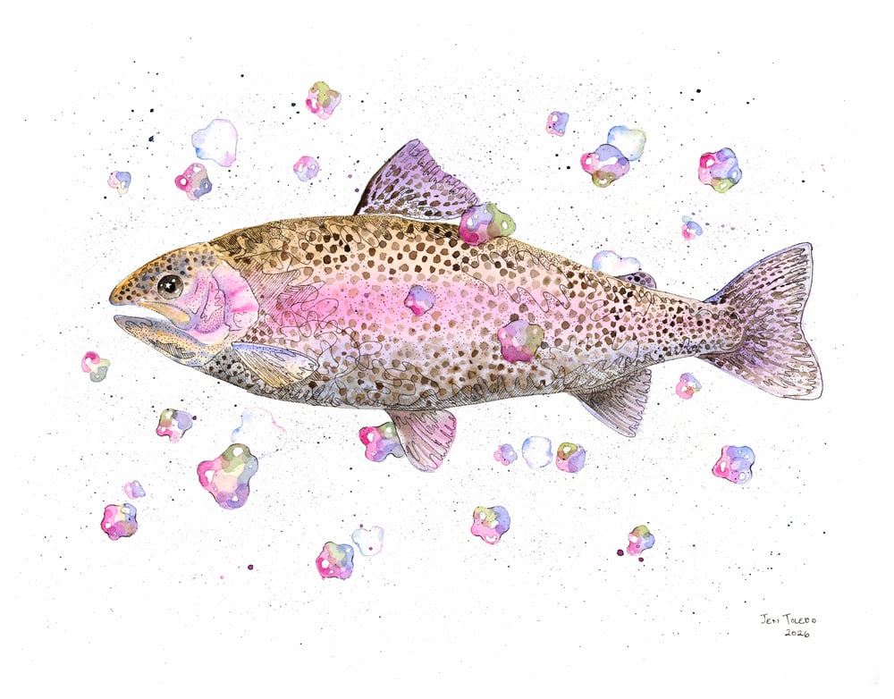 Image of Rainbow Trout Original Painting