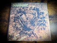 Image 2 of Pharmacist "Vertebrae After Vertebrae" LP