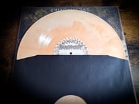 Image 3 of Pharmacist "Vertebrae After Vertebrae" LP