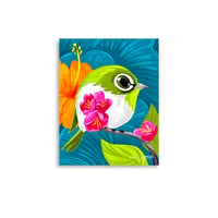 Image 1 of Mejiro / Local Hawaii Bird