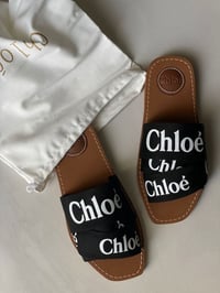Image 3 of CHLO slides