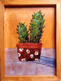 Prickly Pot