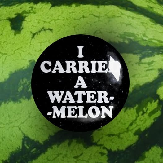 Image of badge dirty dancing - watermelon