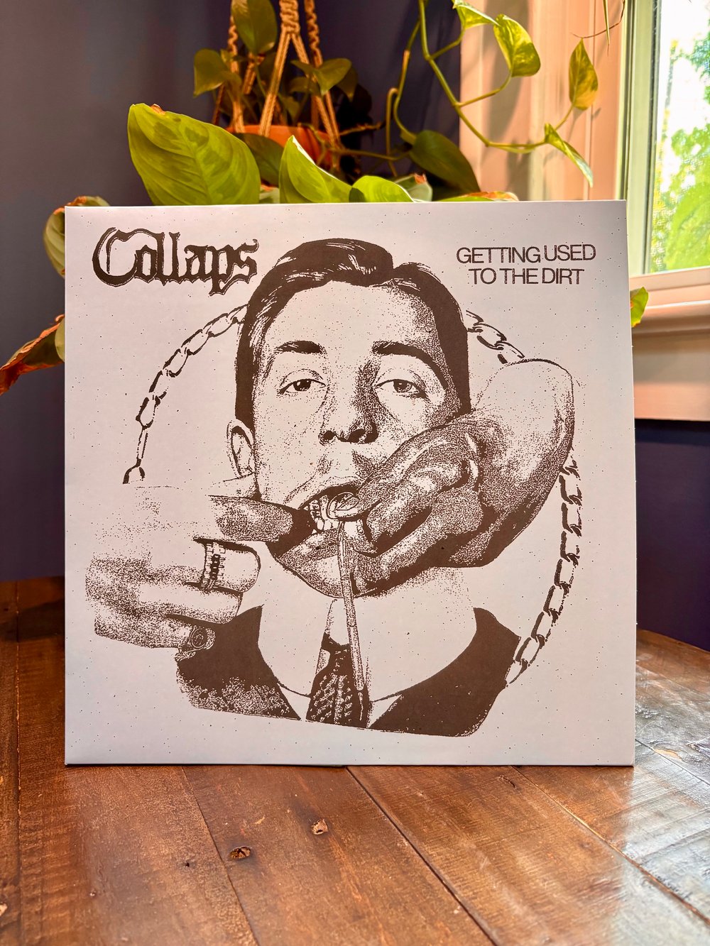 Collaps - Getting Used To The Dirt LP