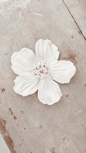 Image of Fleurs blanche