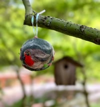 Image 1 of Garden robin