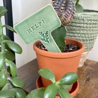 Image 3 of Funny Plant Markers.