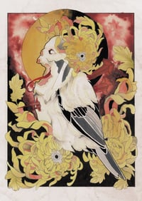 °Birdking°