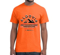 APCW T-Shirt **Pre-Order**
