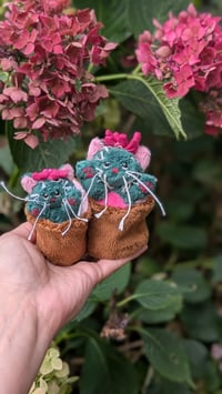 Image 1 of Cactus kittens 