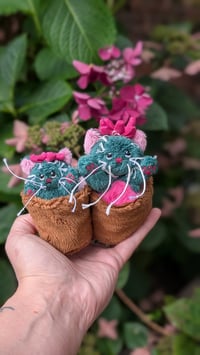 Image 2 of Cactus kittens 