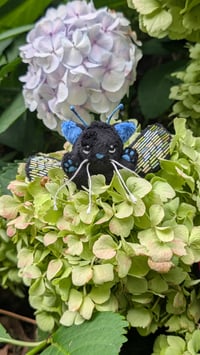 Image 1 of Betty the beetle 