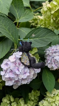 Image 4 of Betty the beetle 