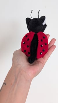 Image 3 of Dotty the ladybug