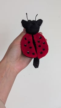 Image 4 of Dotty the ladybug