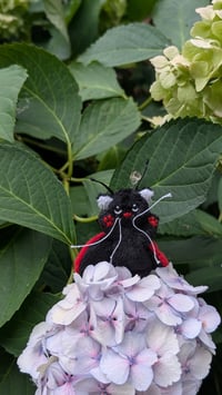 Image 3 of Spot the micro mini ladybug