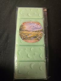 Image 5 of Teddy Bears Picnic Wax Melt Bars