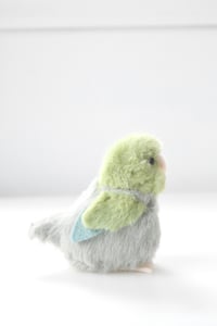 Image 3 of baby green parrotlet 