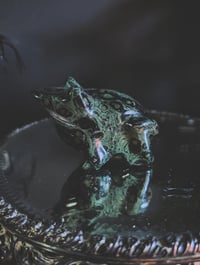 Image 2 of Kambaba Frogs 