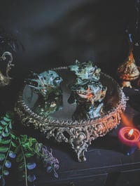 Image 1 of Kambaba Frogs 