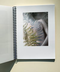 Image 3 of LR2