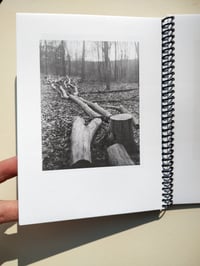 Image 4 of LR2