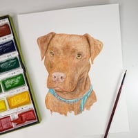 Image 3 of Simple 8x10 Custom Pet Portrait