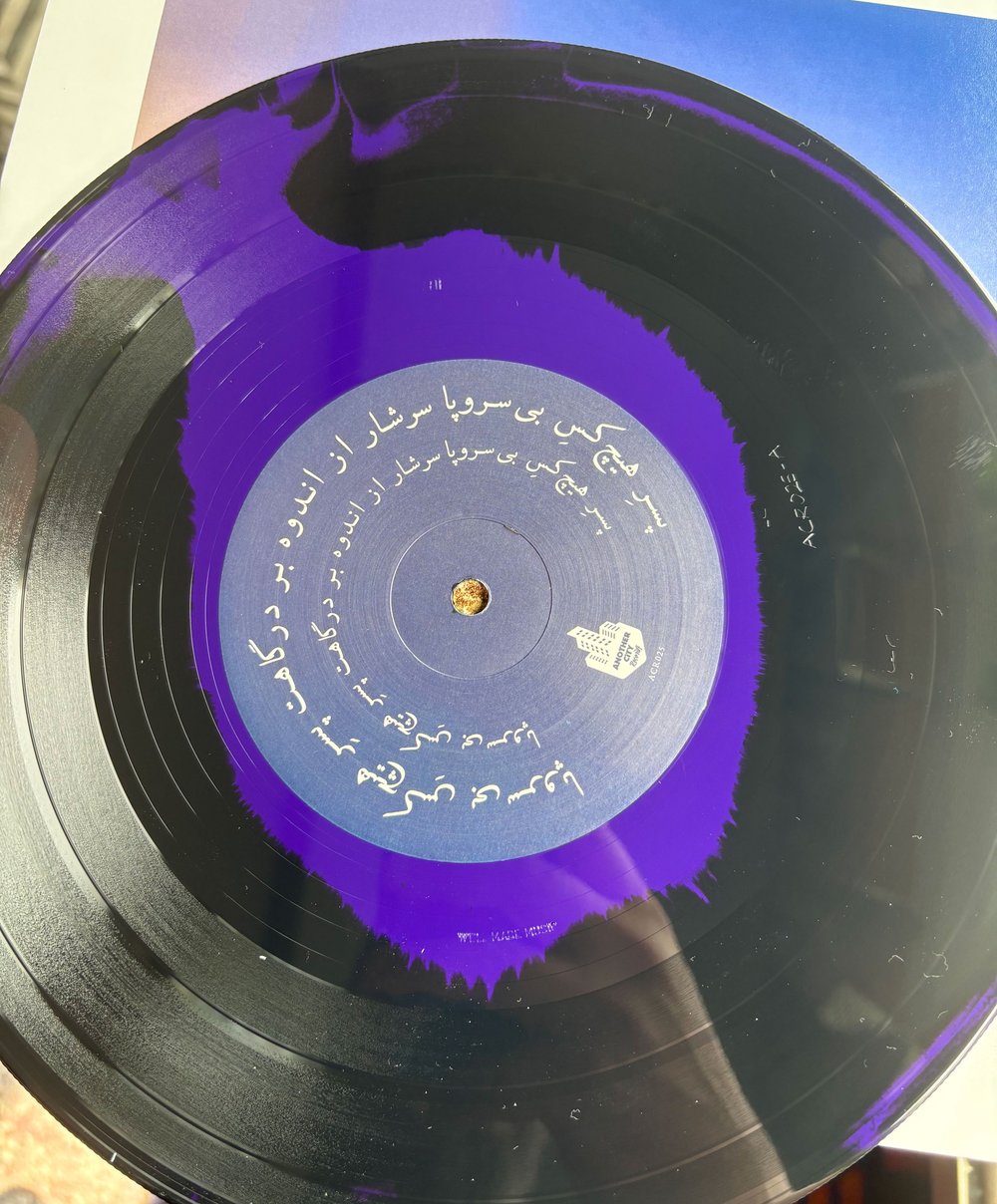 Racetraitor "Nobody Son of Nobody" 10"