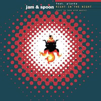 Jam & Spoon Feat. Plavka – Right In The Night 12" Vinyl | Trance |Dance On The Beat  | Used