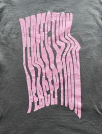 Image 2 of L PERFECTION IS PERCEPTION 