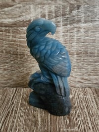 Image 2 of Eagle