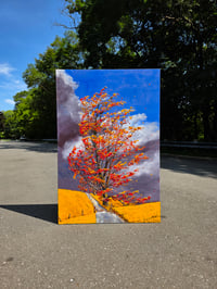 Image 3 of - The Power of Wind -