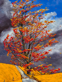 Image 5 of - The Power of Wind -