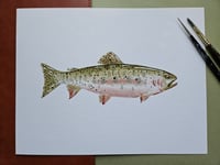 Image 1 of Idaho Cutthroat Trout