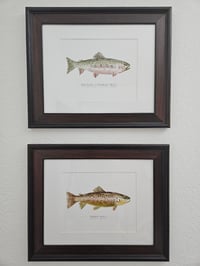 Image 3 of Idaho Cutthroat Trout