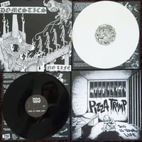 Image 2 of The Domestics  / Pizzatramp – No Life / This Is Your Life split white vinyl 12" single