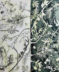 Image 1 of Layered Botanical Gelliprinting on 29/08/26 at Clevedon Craft Centre