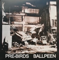 Pre-Birds/Ballpeen split black vinyl 7"