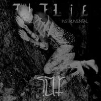 smr.tni - The Lie (instrumental) Digital