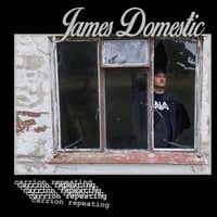 James Domestic – Carrion Repeating blue vinyl LP with download