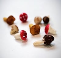 Image 3 of Autumn Season Collection ~ Mushroom Witch 