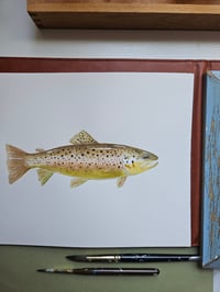 Image 1 of Idaho Brown Trout