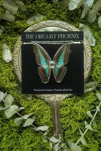 Image 1 of Graphium Sarpedon Butterfly Necklace