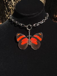 Image 1 of Callicore Cynosura Butterfly Sword Choker