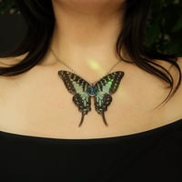 Image 1 of Graphium Antheus Butterfly Necklace
